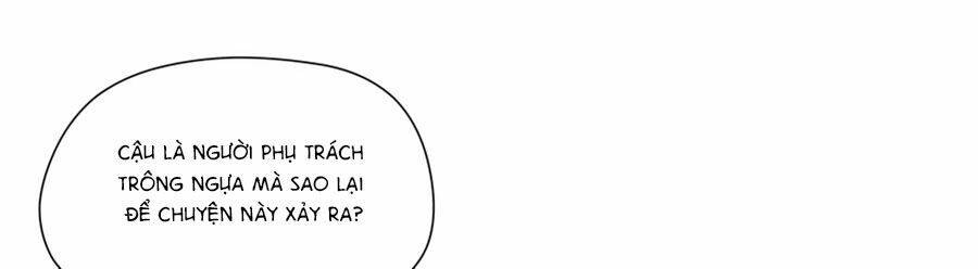 Lưu Luyến Tinh Diệu: Chapter 95