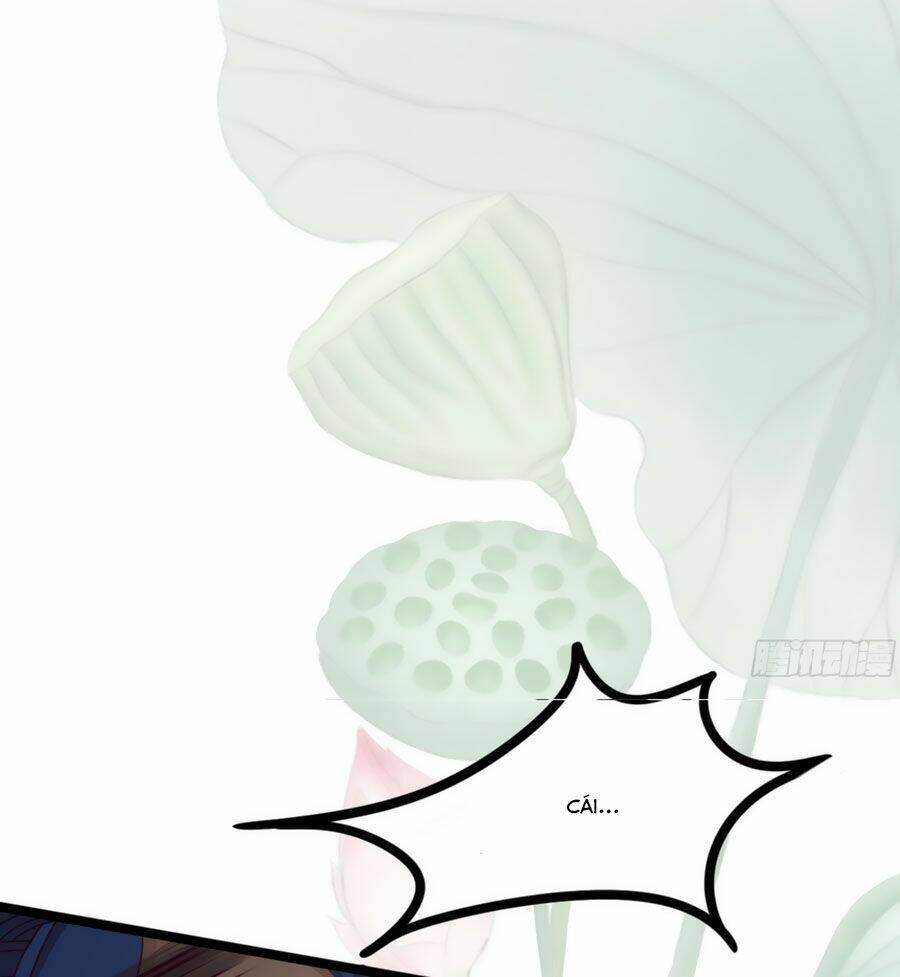 Ngọc Vi Mai: Chapter 15