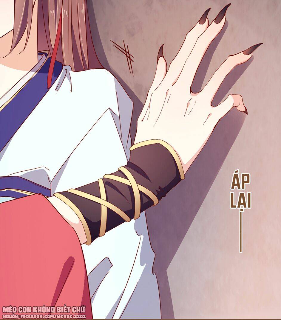 Boss Khủng Bố Chiếm Đoạt Ta: Chapter 4