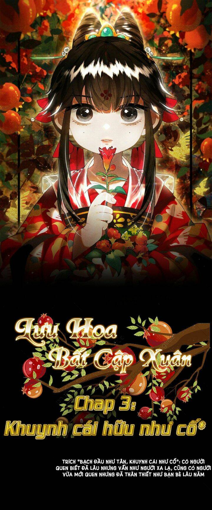 Lưu Hoa Bất Cập Xuân: Chapter 3