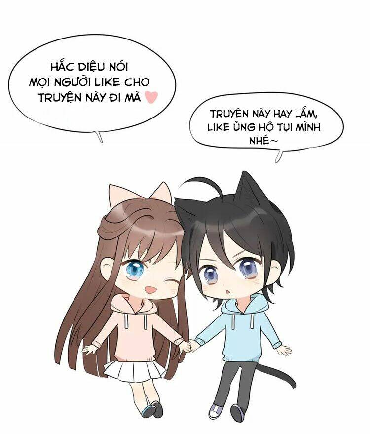 Tiểu Miêu Và Hắc Diệu Thạch: Chapter 7