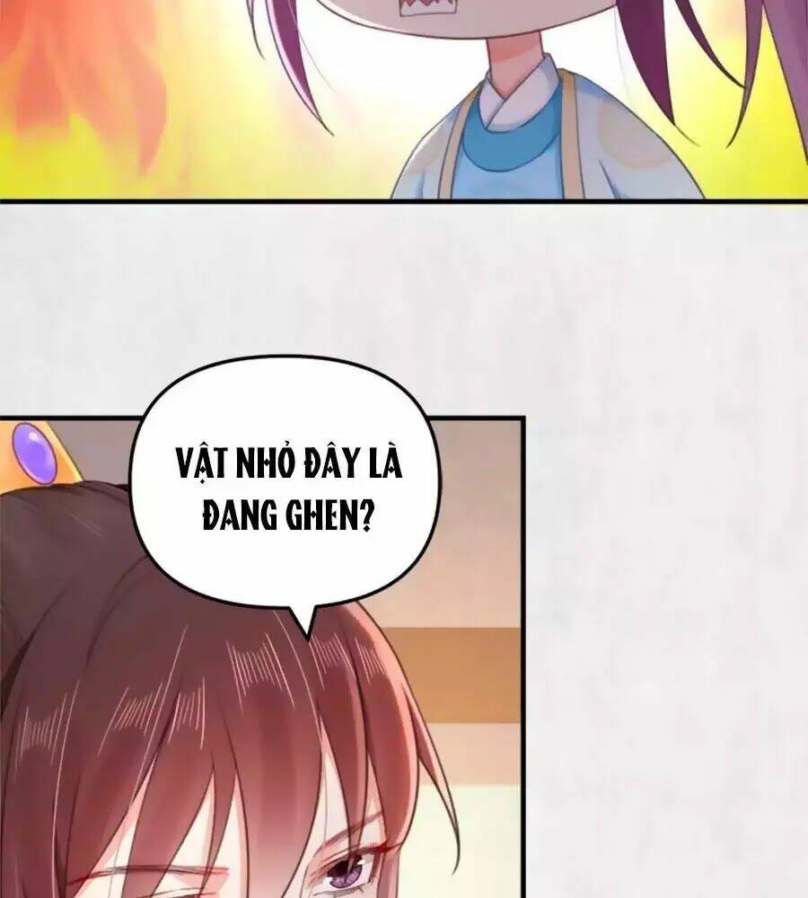 Hoạn Phi Hoàn Triều: Chapter 37