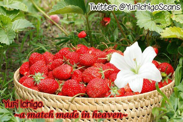 Hino-San No Baka: Chapter 7