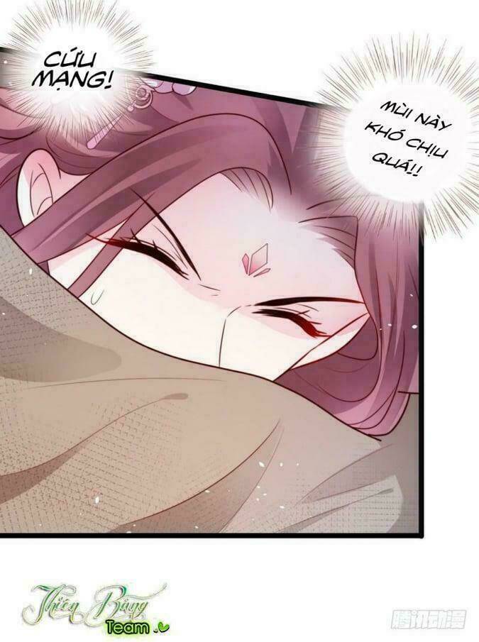 Vương Phi - Âm Động Thiên Hạ: Chapter 19