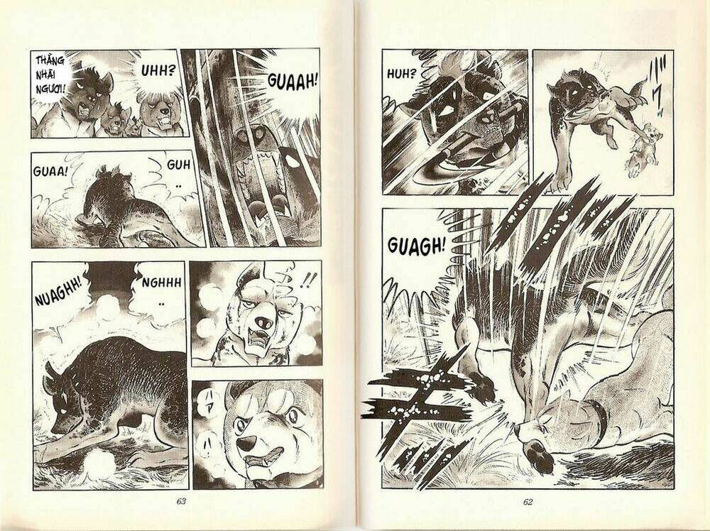 Chú Chó Có Nghĩa - Ginga Nagareboshi Gin: Chapter 19