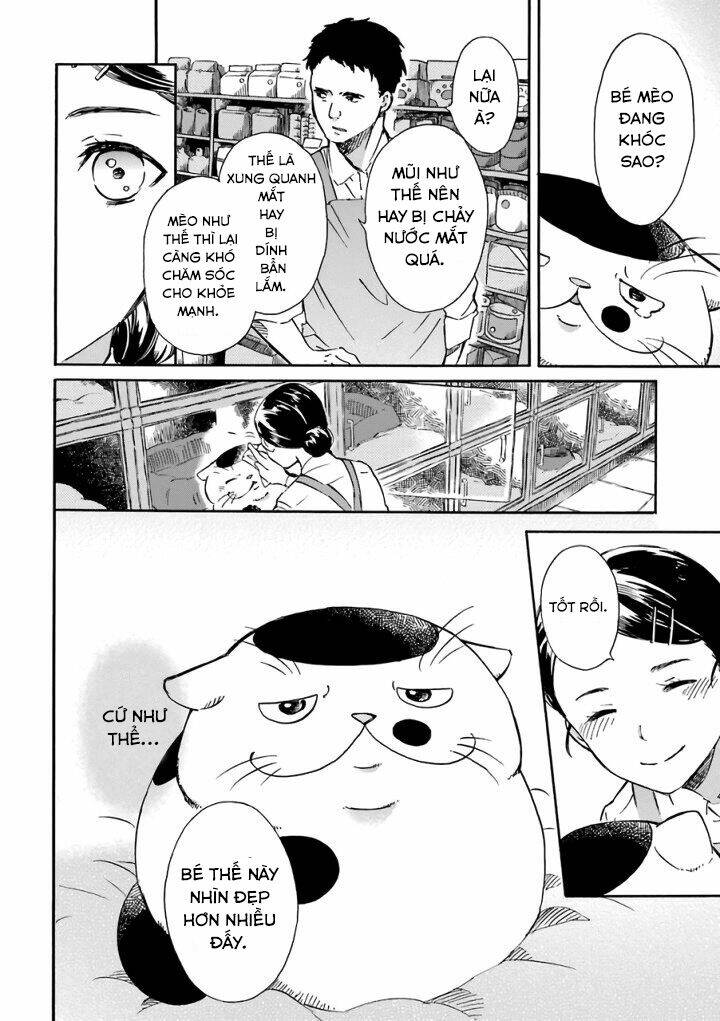 Ông Chú Và Con Mèo Mặt Bựa: Chapter 15.6