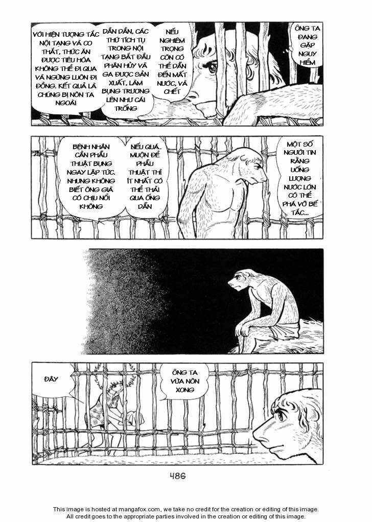 Ode To Kirihito: Chapter 12