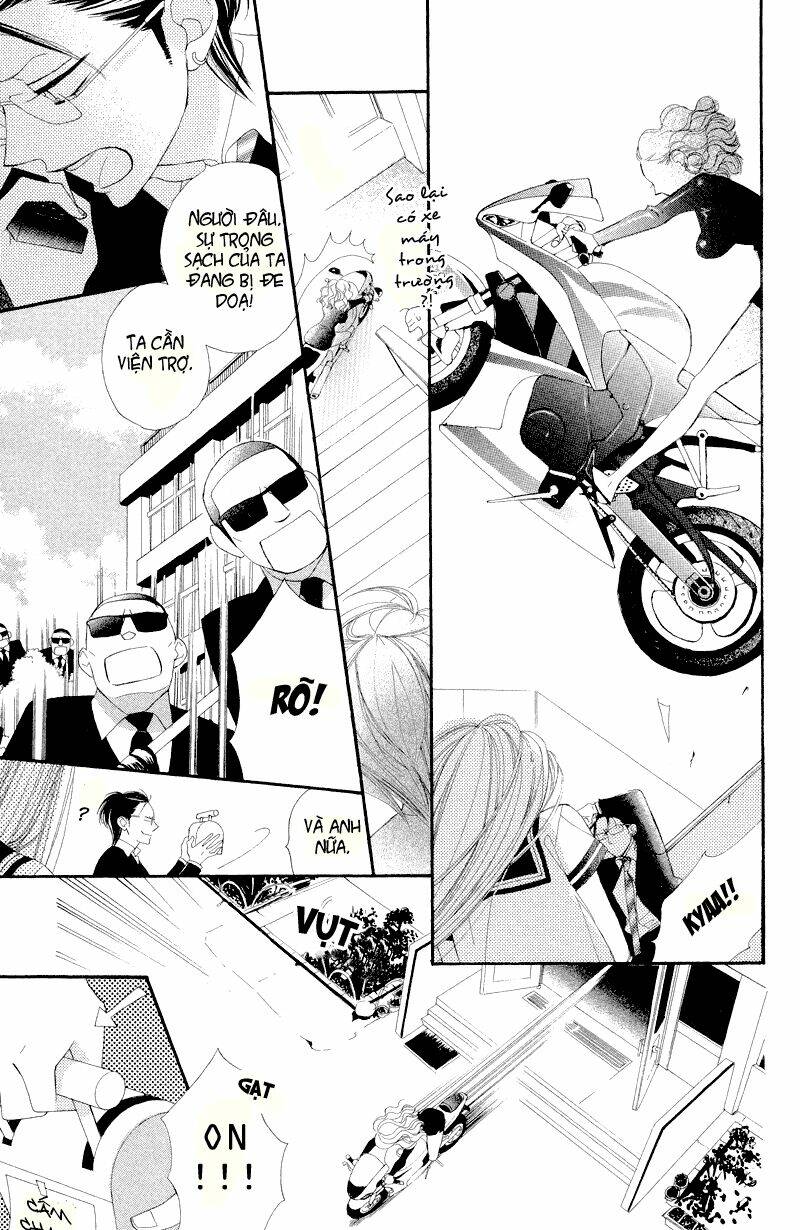 Hoa Trong Bão: Chapter 5