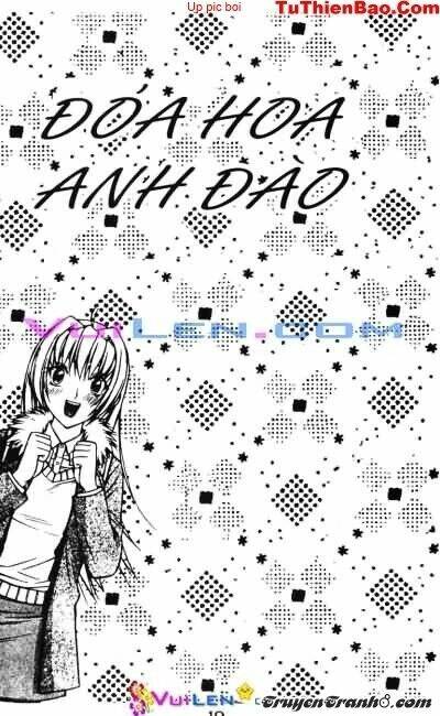 Đóa Hoa Anh Đào: Chapter 3