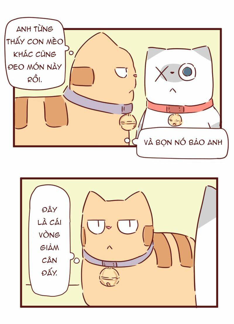 Saphie: Chú mèo một mắt: Chapter 28