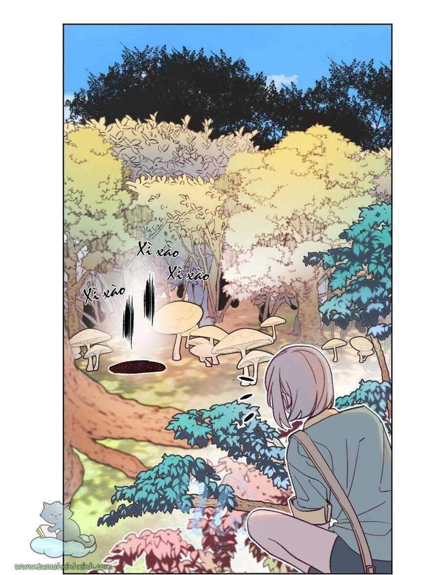 Nhật Ký Nấm Ma Cô: Chapter 13