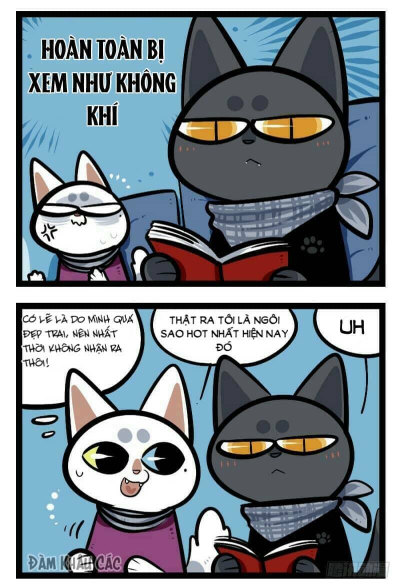 Đời Không Như Mình Tưởng: Chapter 43