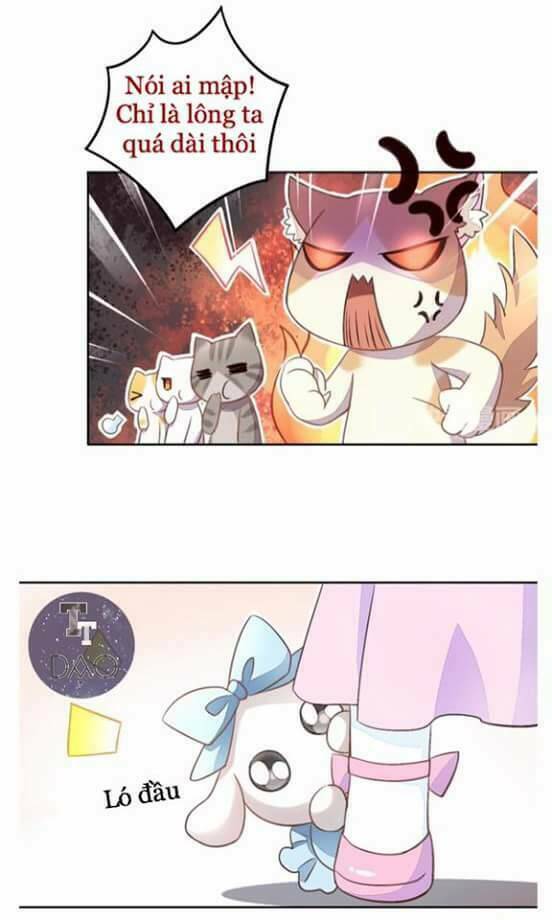 Dưới Móng Vuốt Mèo: Chapter 5
