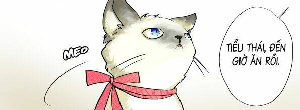 Nhật Ký Đầu Gấu: Chapter 3