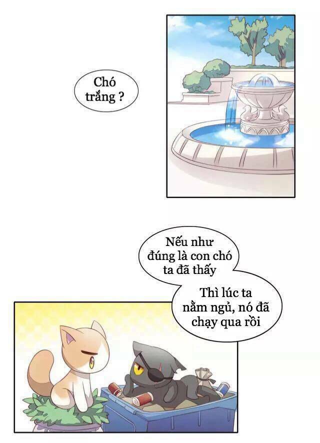 Dưới Móng Vuốt Mèo: Chapter 15