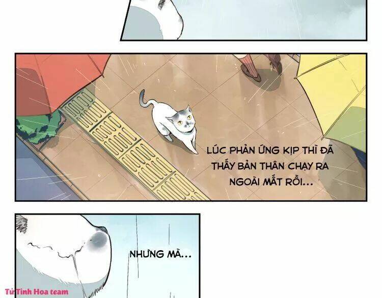 Thời Khắc Ấy, Chúng Ta Gặp Nhau: Chapter 20