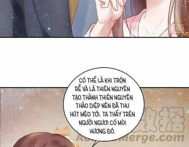 Thịnh Sủng Y Phi Chi Dao Quan Truyện: Chapter 41