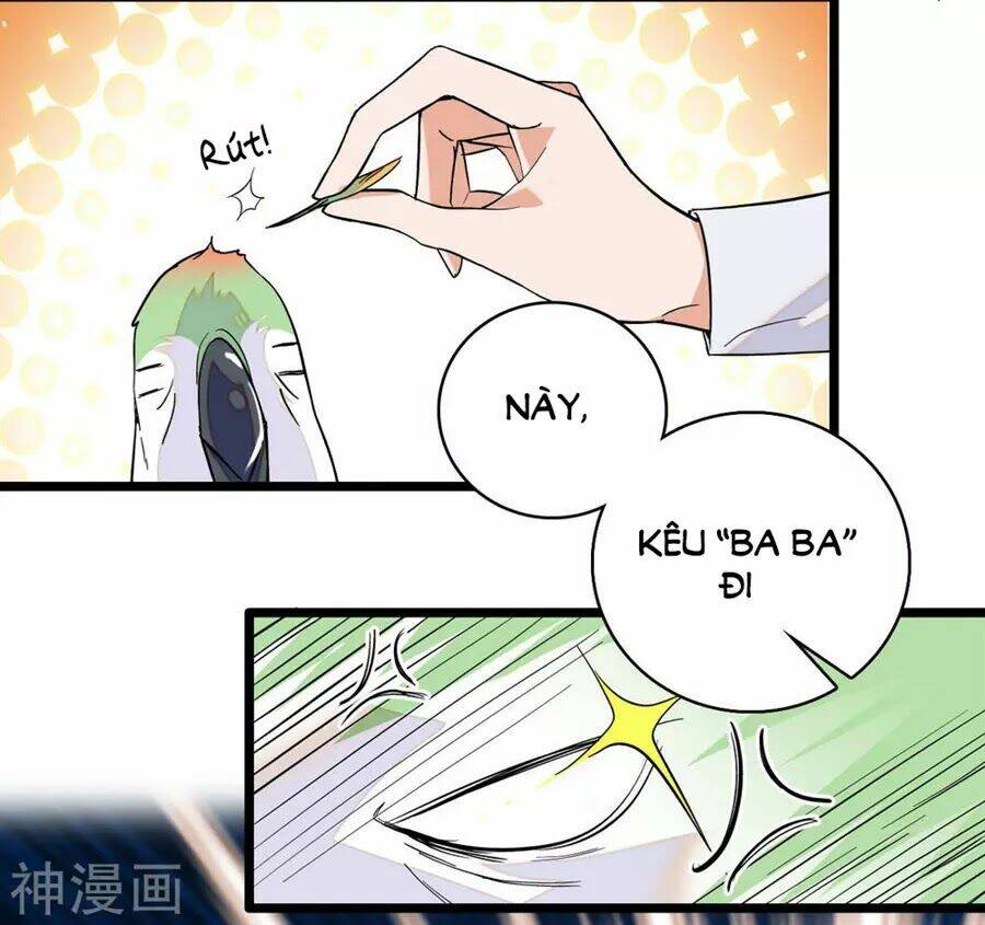 Huyết Túc Khế Ứớc: Chapter 5