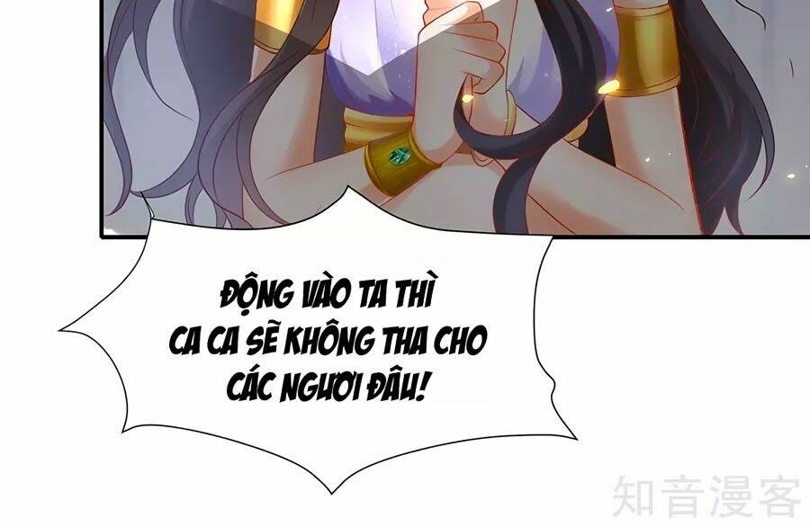 Sủng Hậu Của Vương: Chapter 45