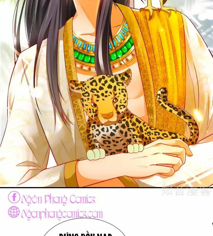 Sủng Hậu Của Vương: Chapter 4