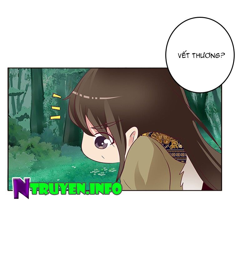 Thông Linh Phi: Chapter 310
