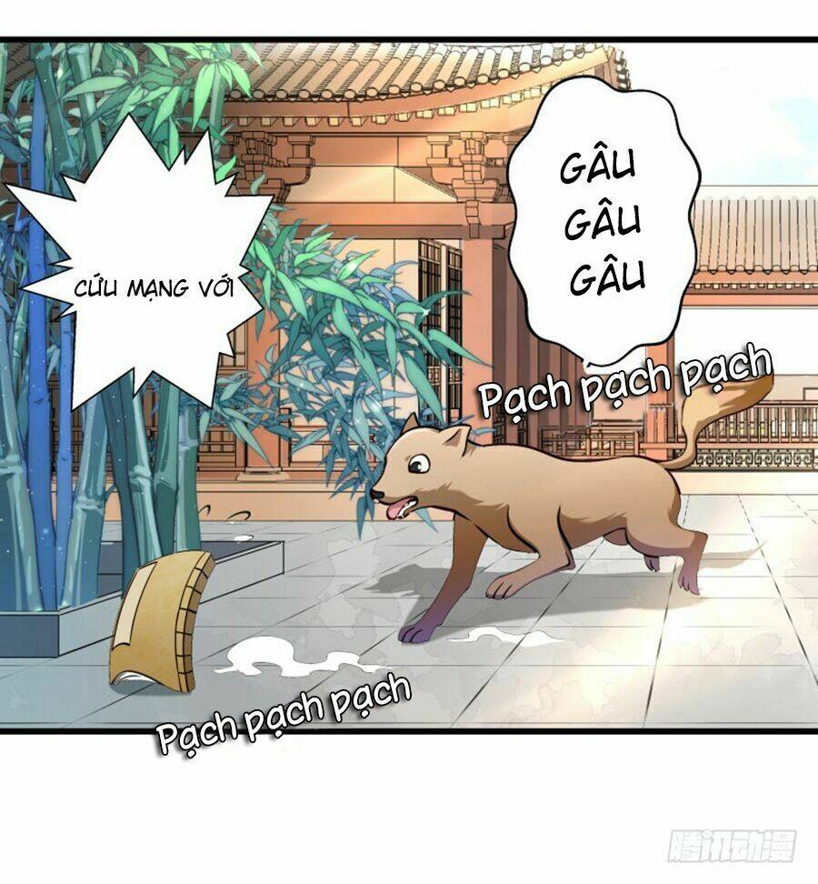 Tiểu Hoàng Thư Và Tiểu Hoàng Thúc: Chapter 13