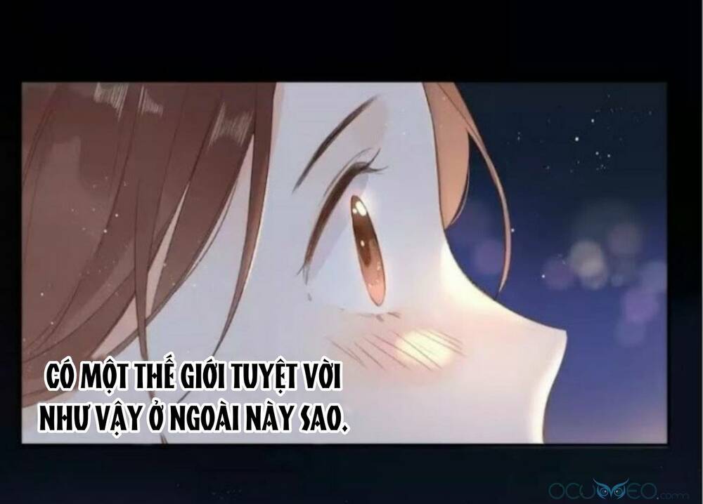 Sos! Tôi Đã Yêu Một Con Sâu Bướm (Phần 2): Chapter 15