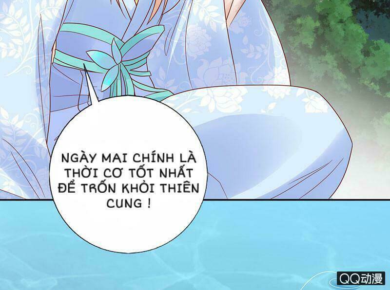 Băng Sơn Học Trưởng Không Được Chọc: Chapter 31.2