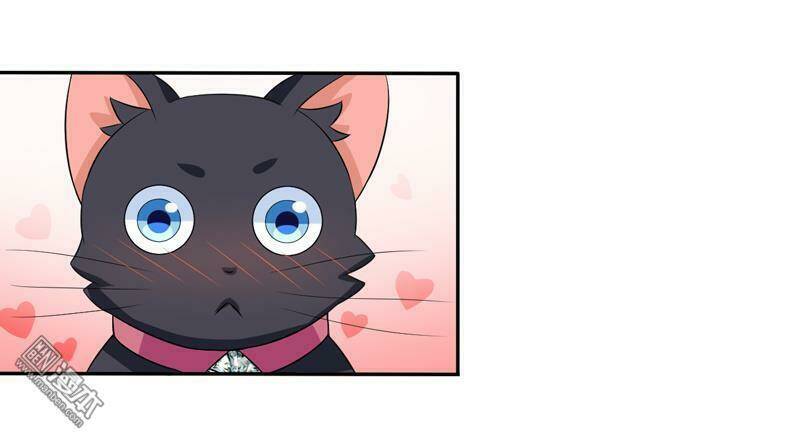 Miêu Vương Tại Thượng: Chapter 5