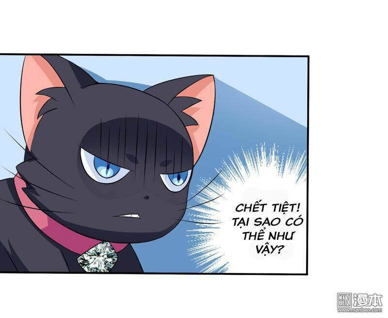 Miêu Vương Tại Thượng: Chapter 7