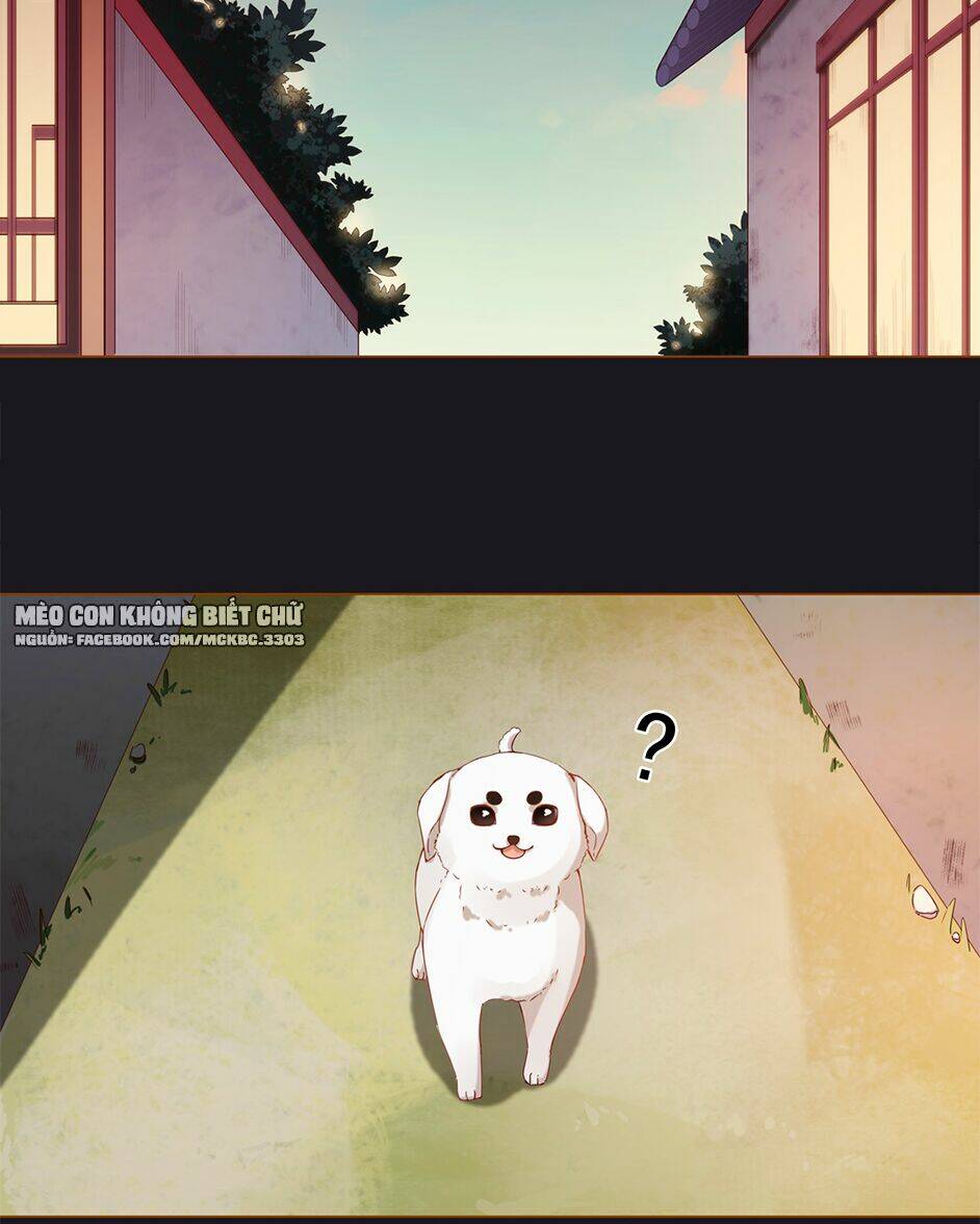 Boss Khủng Bố Chiếm Đoạt Ta: Chapter 3