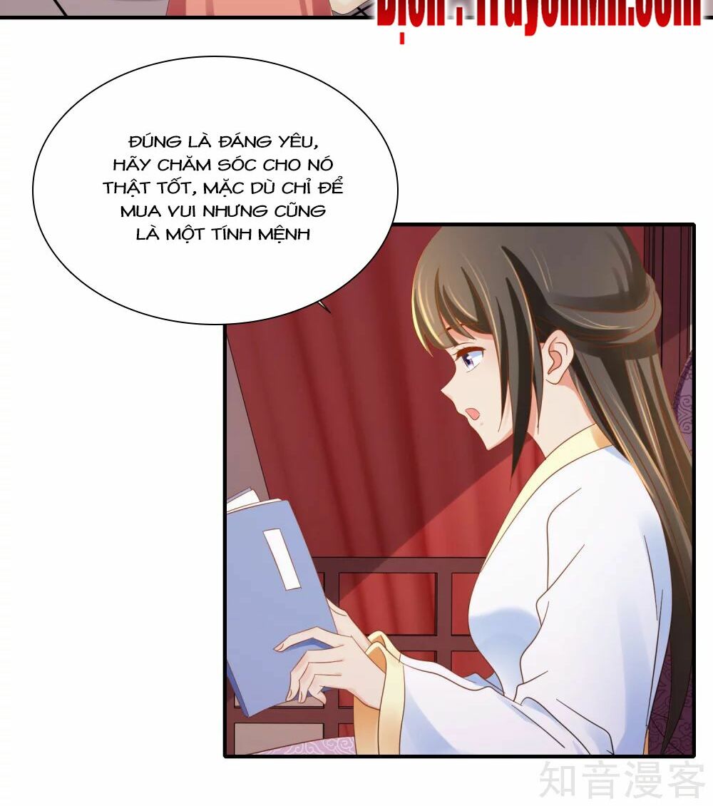 Lãnh Cung Phế Hậu Muốn Nghịch Thiên: Chapter 140