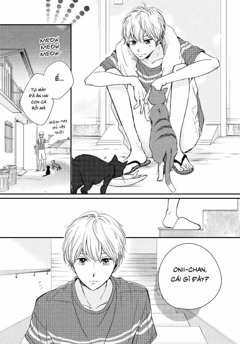 Houkago, Koishita: Chapter 14