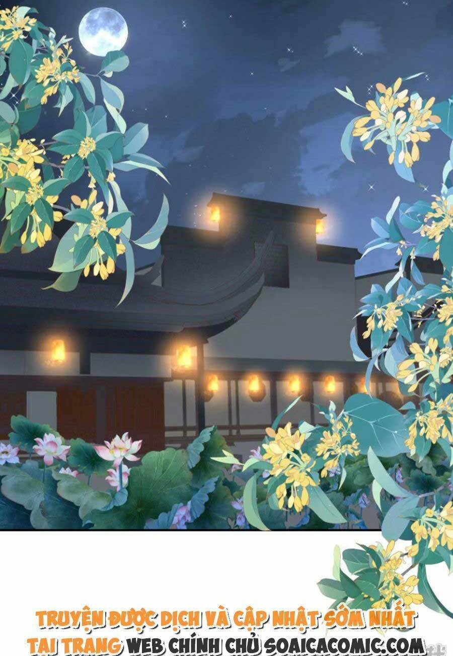 Tướng Quân, Bổn Phi Không Nhận Sủng: Chapter 47