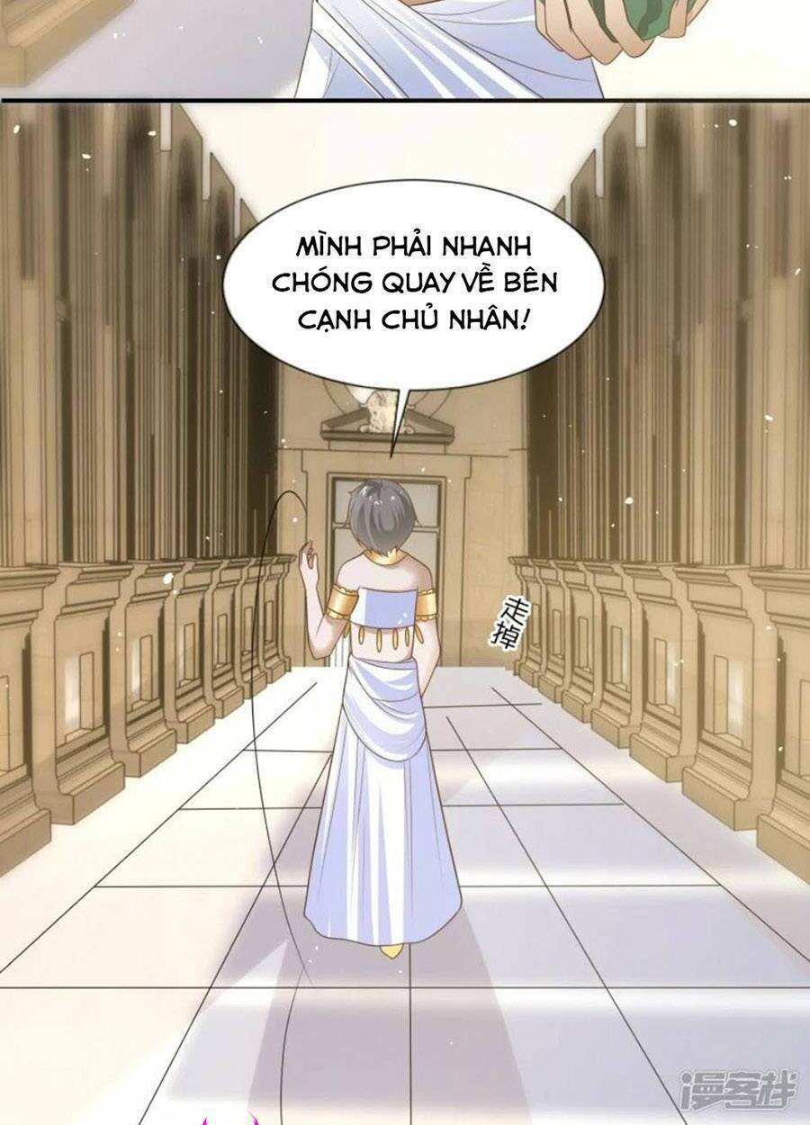 Sủng Hậu Của Vương: Chapter 172