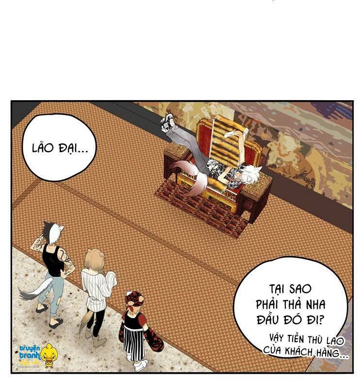 Cứu mạng ! Loài mèo thống trị thế giới rồi !: Chapter 20