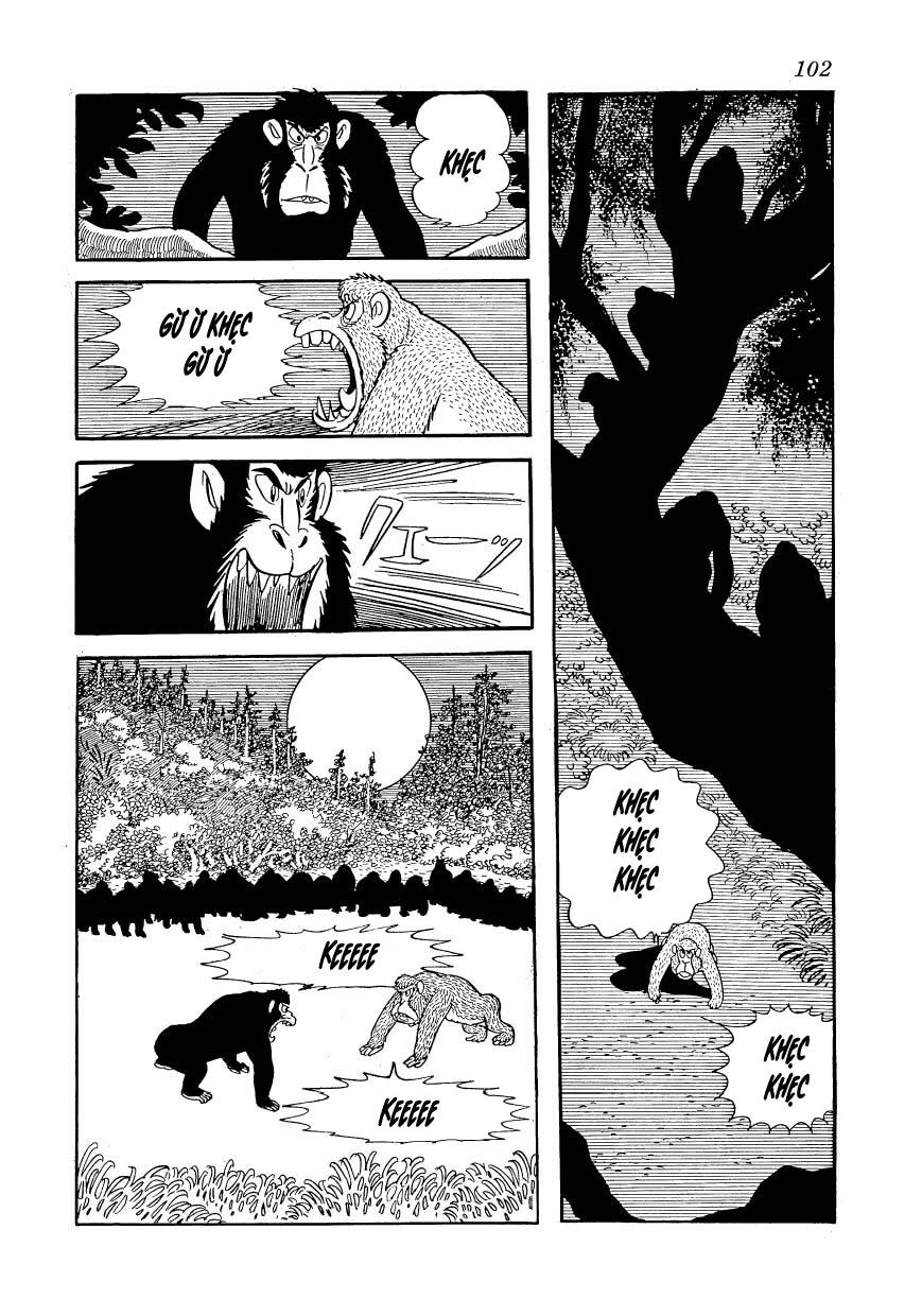 Chim Lửa: Chapter 80