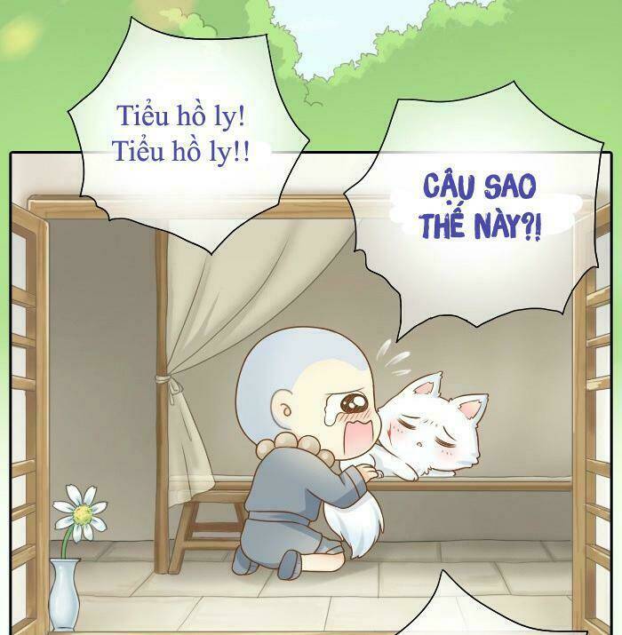 Tiểu Hồ Ly vs Tiểu Hóa Thượng: Chapter 8