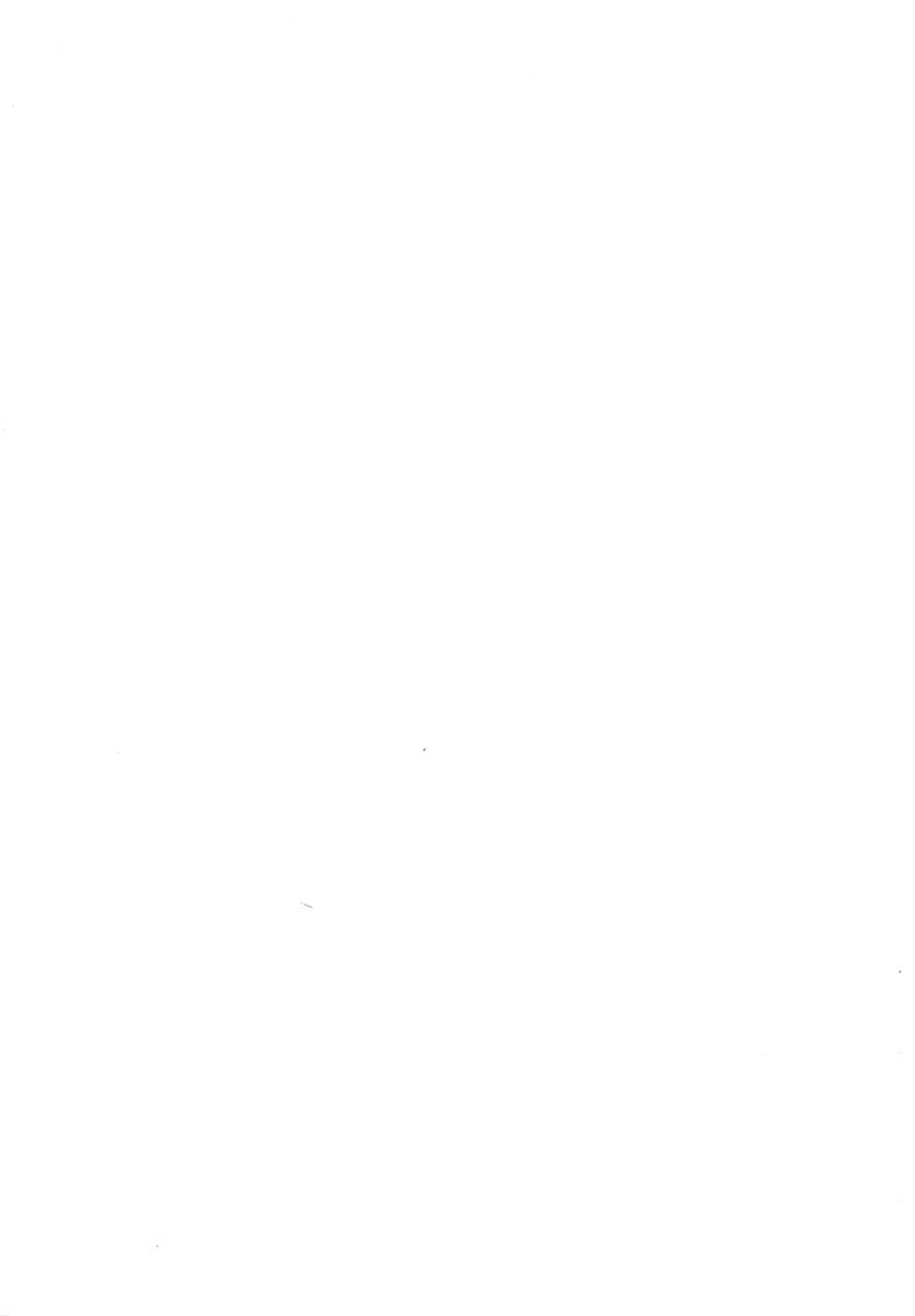 Black Rock Shooter The Game: Chapter 7