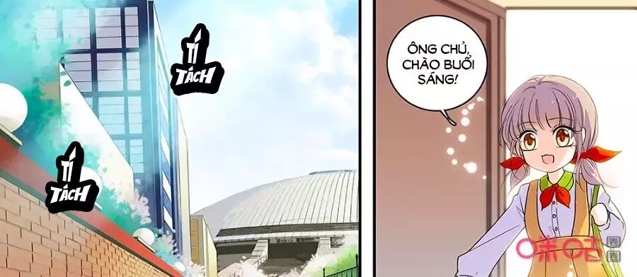 Thanh Ninh Chi Hạ: Chapter 442