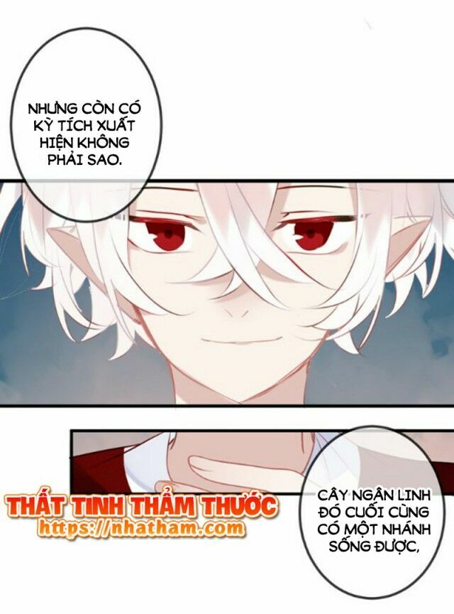 Ngô hoàng tại thượng: Chapter 40