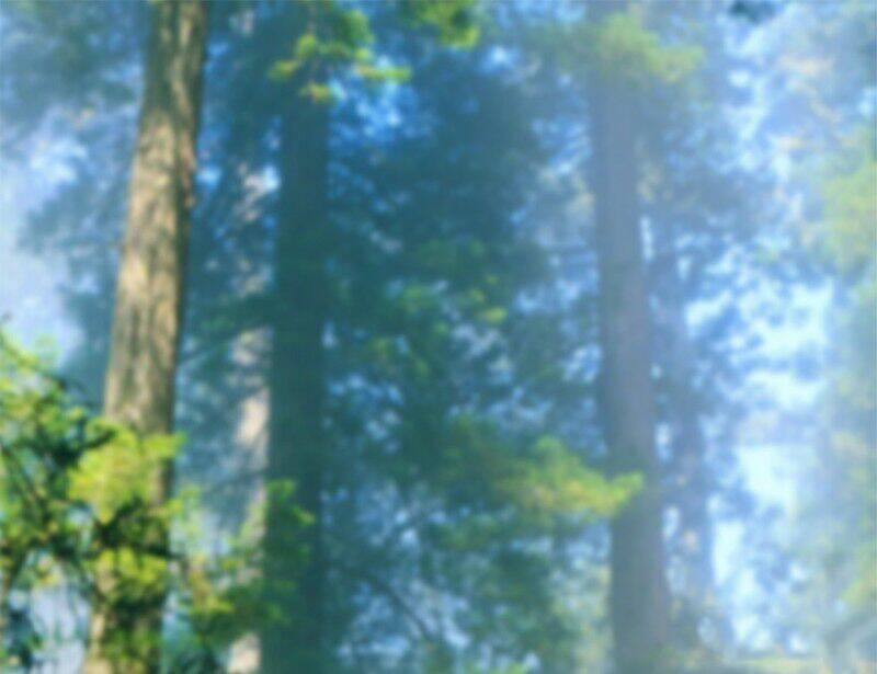 Cửu Hoang Đọa Huyền Sư: Chapter 20