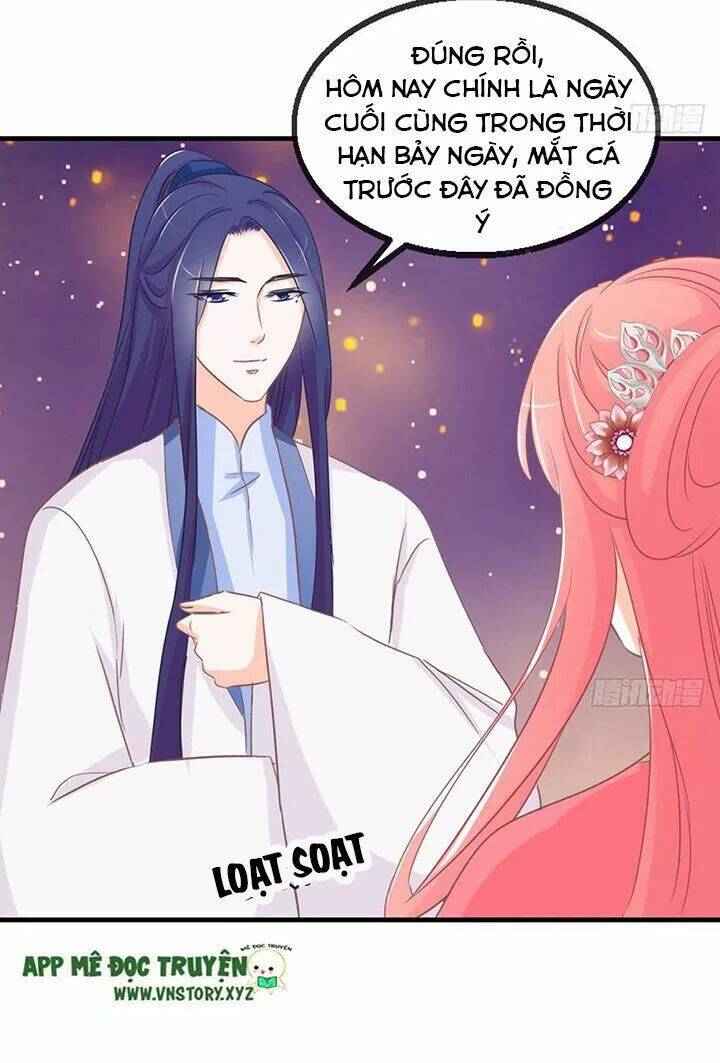 Cẩm Lý Thiếu Nữ Của Tôi: Chapter 113