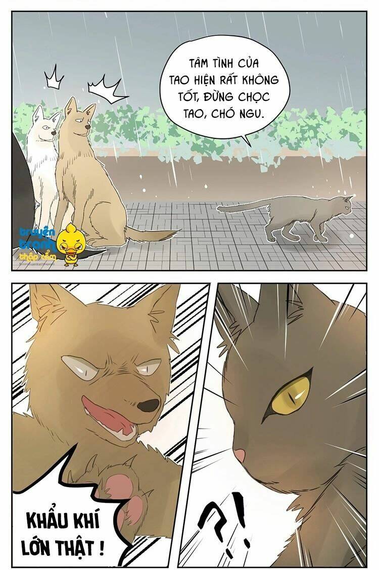 Cứu Mạng! Loài Mèo Thống Trị Thế Giới Rồi!: Chapter 25