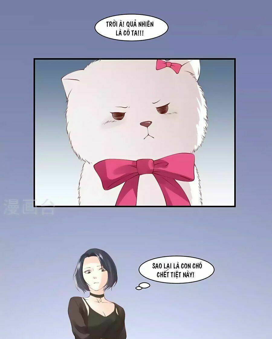 Trung Khuyển Và Tình Nhân: Chapter 2