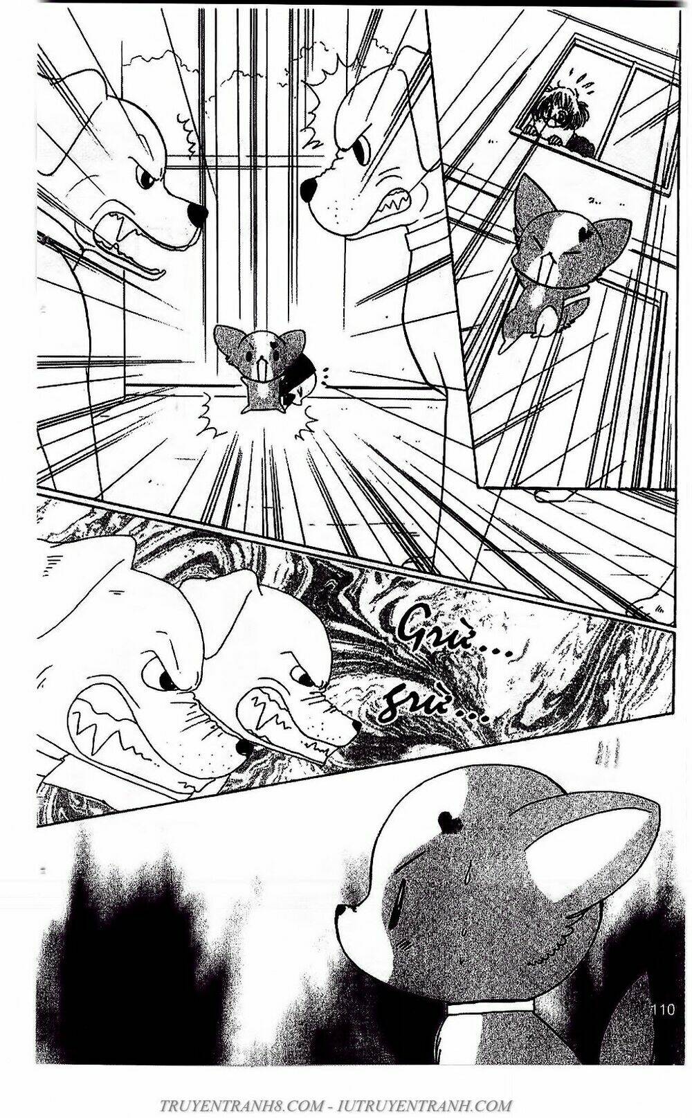 Bộ Sưu Tập Lọ Lem: Chapter 51