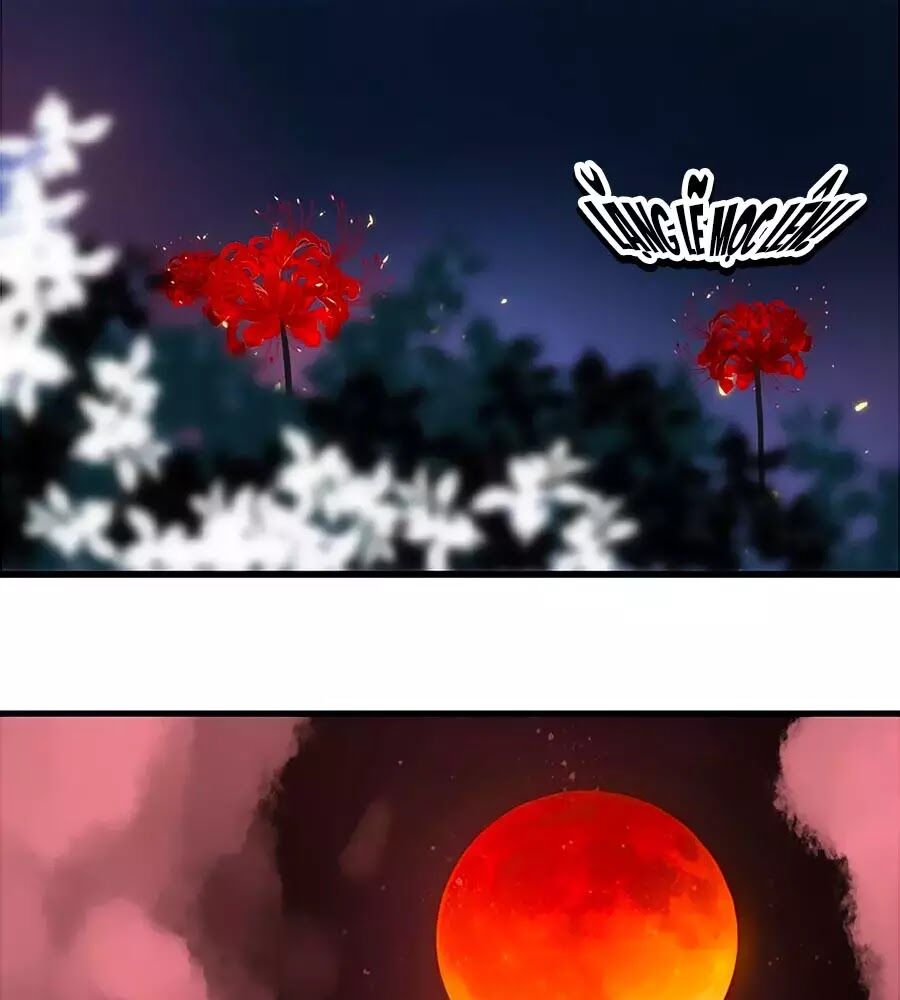 Hoa Chưa Nở Rộ: Chapter 20