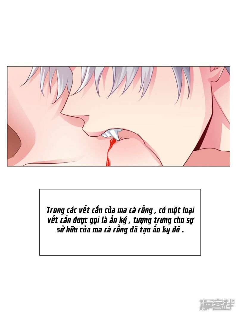 Minh Tinh Là Huyết Tộc: Chapter 6