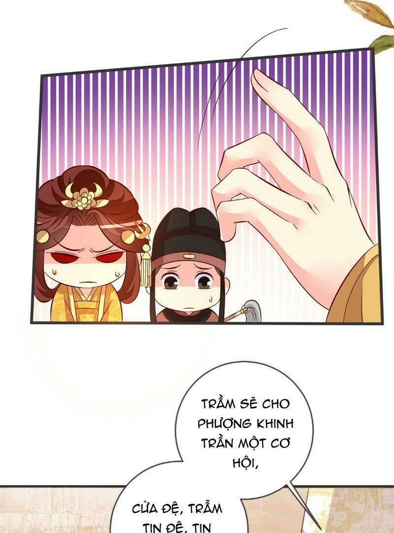 Đế Hoàng Chi Thần Y Khí Phi: Chapter 40