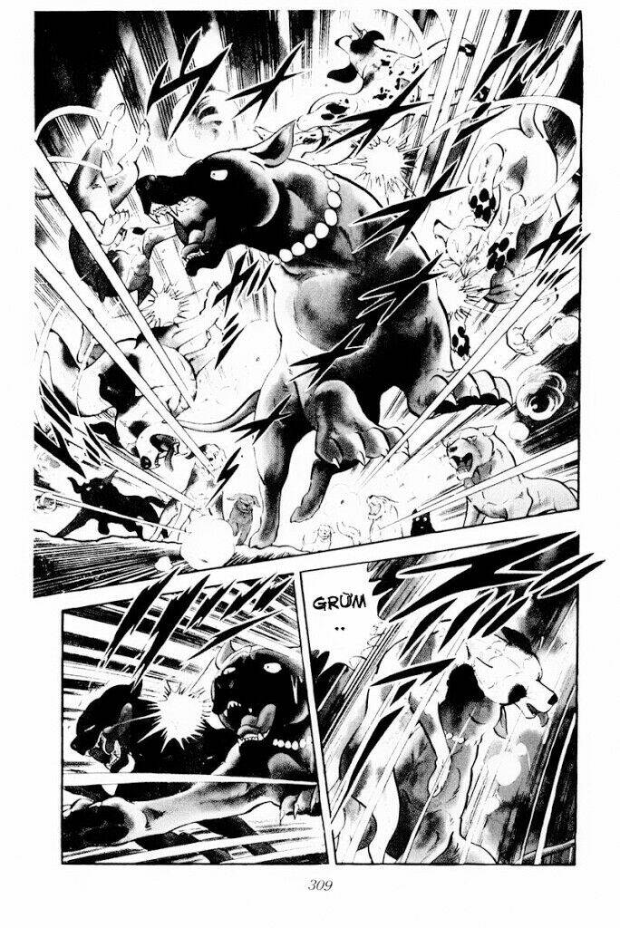 Chú Chó Có Nghĩa - Ginga Nagareboshi Gin: Chapter 30.2